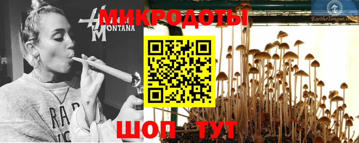 Псилоцибиновые грибы Cubensis  Вход с VPN  Алатырь  цена   Галлюциногенные грибы GOLDEN TEACHER 